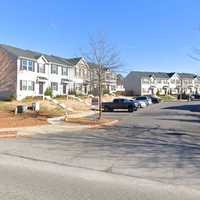 <p>Creeping Primrose Lane in Lexington Park</p>