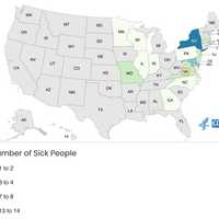 <p>The breakdown of illnesses related to the recall.</p>