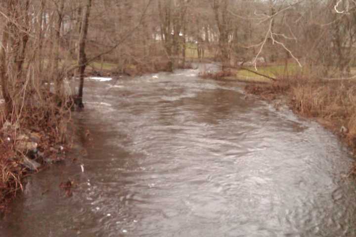 Woman, Dog Swept Away By Flood Waters In Fairfield County Rescued By Police, Fire