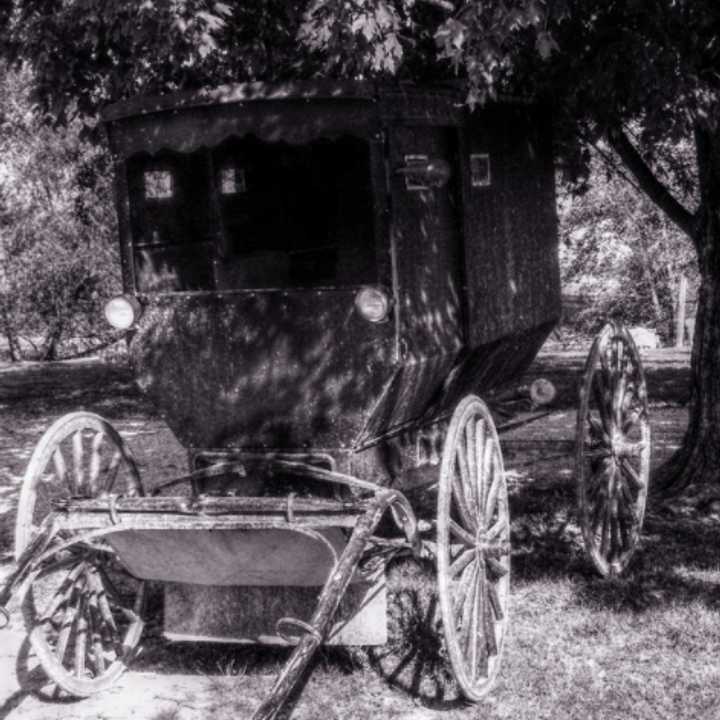 An Amish buggy.