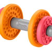 <p>Recalled Fisher-Price Dumbbell Toy</p>