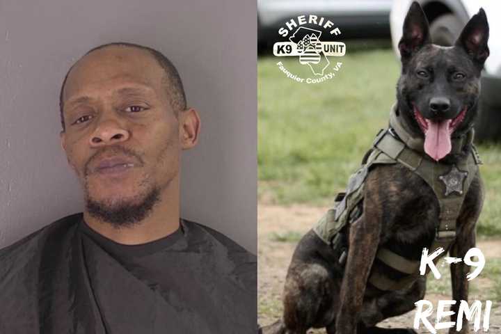 Baltimore Man Who Took Deputies On 120 MPH Pursuit Taken Down By K9 In Virginia: Sheriff