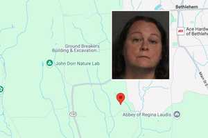 Litchfield County Kennel Owner Facing Animal Cruelty Charges