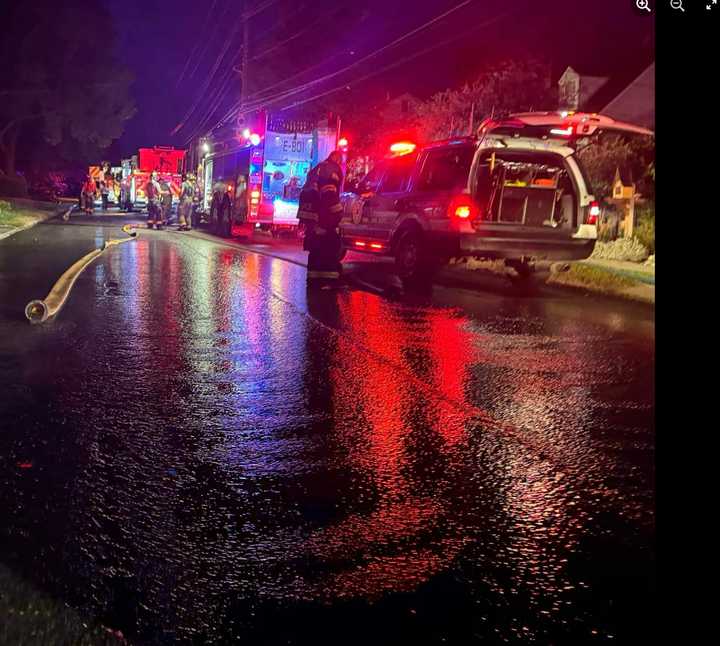 Firefighters rescued three animals during a house fire.