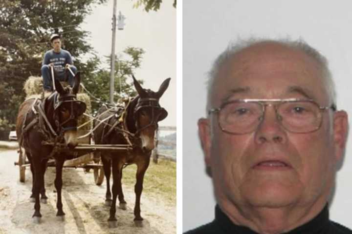 Horse Farrier Accused Of Taking Indecent Liberties While Working On Virginia Farms 40 Years Ago