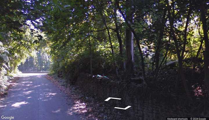 The fence in the area of Fisher Lane where the fatal crash happened. 