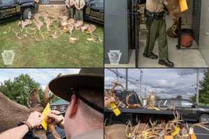 Father-Son Trio Poached 50+ Deer, PA Game Commission Says