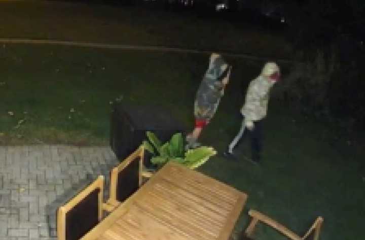 Two men caught on camera swapping political signs and flags between properties at the Indian King Development in Chester County.