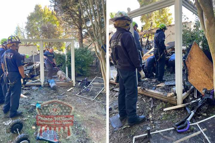 Barking Dog Rescued From Rubble Days After Virginia Home Explosion