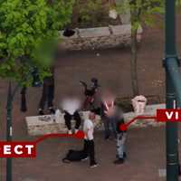 <p>The victim and suspect were captured on video by the drone.</p>