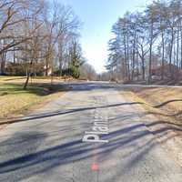 <p>7200 block of Plantation Forest Drive</p>