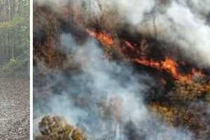 'Extremely Dry Conditions' Lead To Four-Acre Brush Fire In Waldorf: Authorities