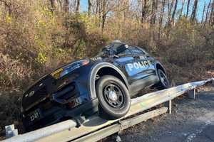 Patrol Car Crashes In Deer-Related Incident In Pennsylvania: Police (PHOTOS)