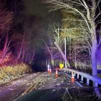 Road Closure Alert: Almshouse Road Shut Down Due To Fallen Tree On Power Lines