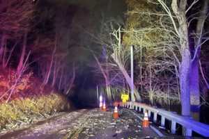 Road Closure Alert: Almshouse Road Shut Down Due To Fallen Tree On Power Lines