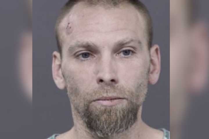 Man Arrested For Burglary After Attempted Break-In At Doylestown Home: Police