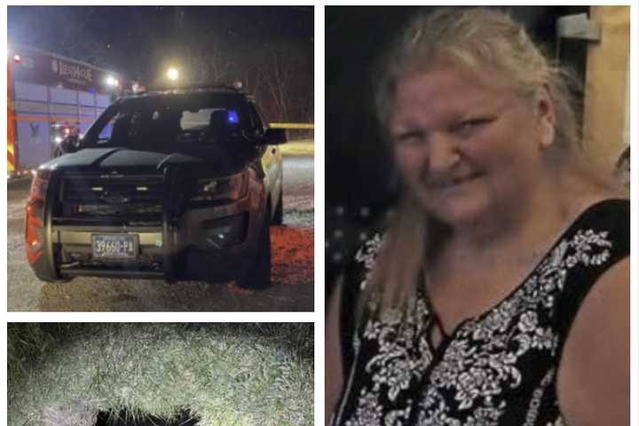 PA Grandmother Feared Fallen Down 30-Foot Sinkhole While Searching For Cat: State Police