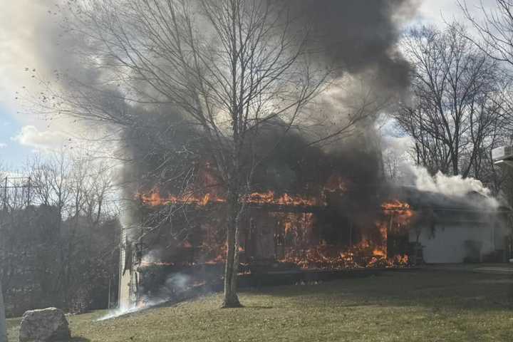 Cats Spark Fire That Heavily Damaged York County Home: Officials (PHOTOS)