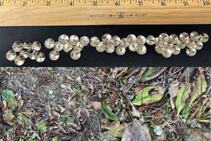 Pets Endangered: 100 Tacks Found Scattered in Dog-Walking Area In Southeast