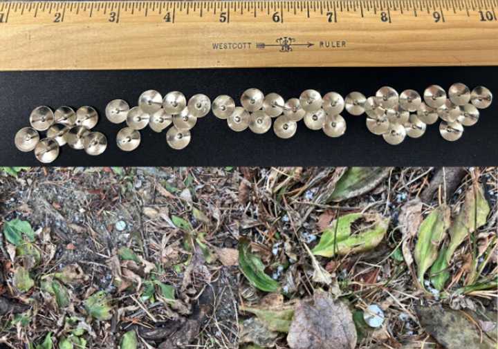 The SPCA released images of the thumbtacks found on the ground in the dog-walking area.&nbsp;