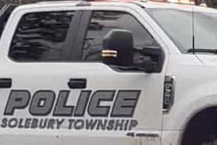 Driver Killed After Car Slams Into Tree Along Route 32: Solebury Police