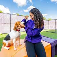 Poughkeepsie Welcomes Central Bark: A New Destination for Dog Care With Emphasis On Quality