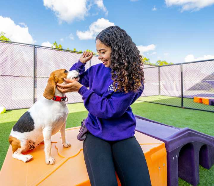 A Central Bark trainer is working with one of their doggie friends.&nbsp;