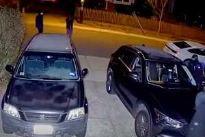 Coordinated Crew Caught On Camera During 21-Vehicle Crime Spree Through Montgomery County: PD