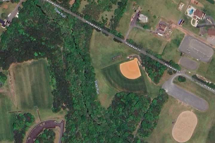 Masked Man Sought After Reported Attempted Sexual Assault At Nokesville Park: Police