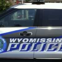 <p>A&nbsp;Wyomissing police vehicle</p>