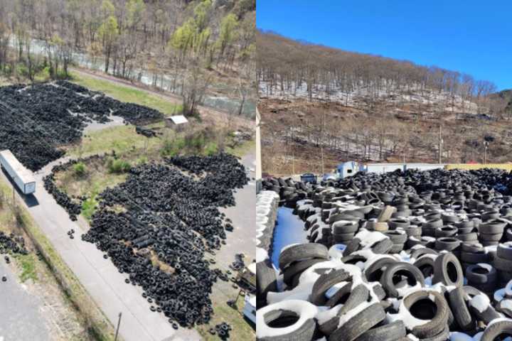 From Recycling Dream to Environmental Nightmare: Maryland Man Gets Jail Time For Tire Dump: AG