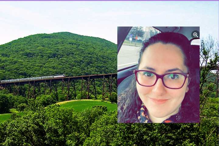 Young Woman Jumps To Death From NY Viaduct, Motorist Heard Her Fall: MTA