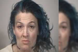 Shoplifting Suspect Caught Returning To Fetch Dog Left Behind At Target: Fredericksburg Police