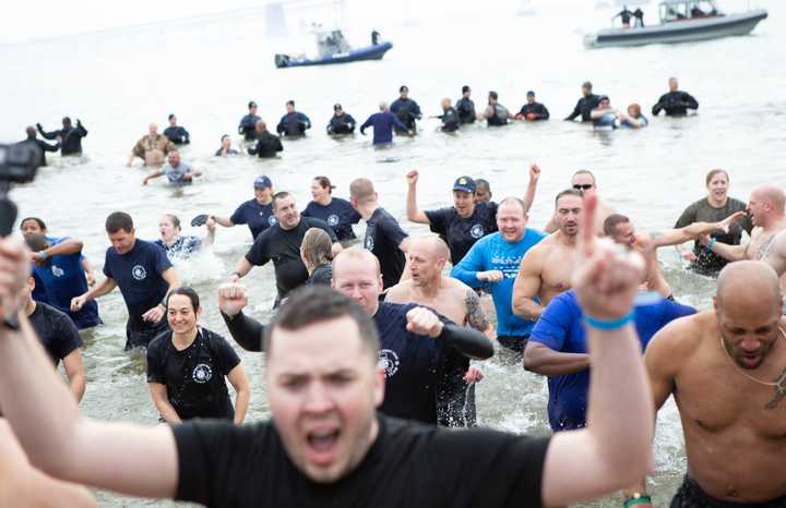 People take part in a polar plunge. There's one scheduled in Westport to help raise money for the non-profit group Abilis, which assists people with disabilities and their families.  