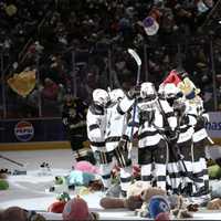 <p>The Hershey Bears at the record-setting 2025 Teddy Bear toss. </p>