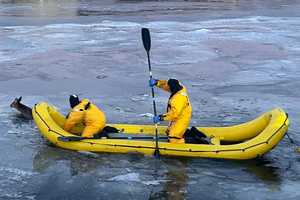 Oh, Deer! Watch CT Crews Rescue Fawn From Icy Saugatuck River