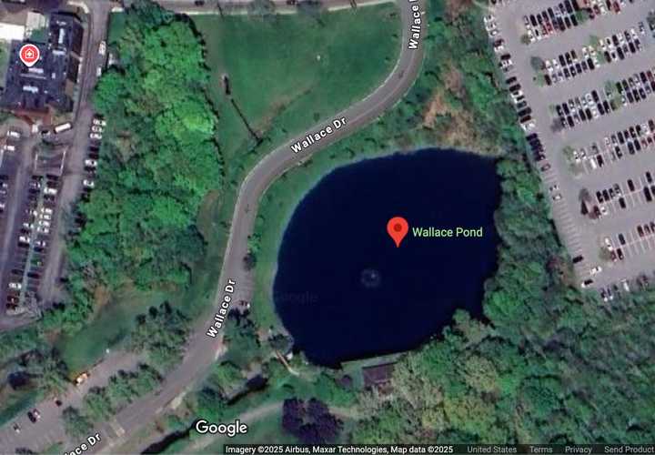 Parks &amp; Rec officials are warning residents to avoid skating on Wallace Pond for the time being. 