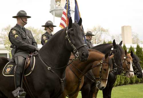 Trooper Thrown From Horse After - Screenshot 2025 01 28 113517