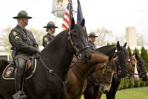 Trooper Thrown From Horse After Truck Crash Near Live! Casino, Driver Charged: PA State Police