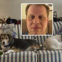 Dogs Stabbed To Death; PA Owner Gives Gruesome Confession On 911: Affidavit