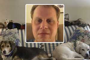 Dogs Stabbed To Death; Bucks County Owner Gives Gruesome Confession On 911: Affidavit