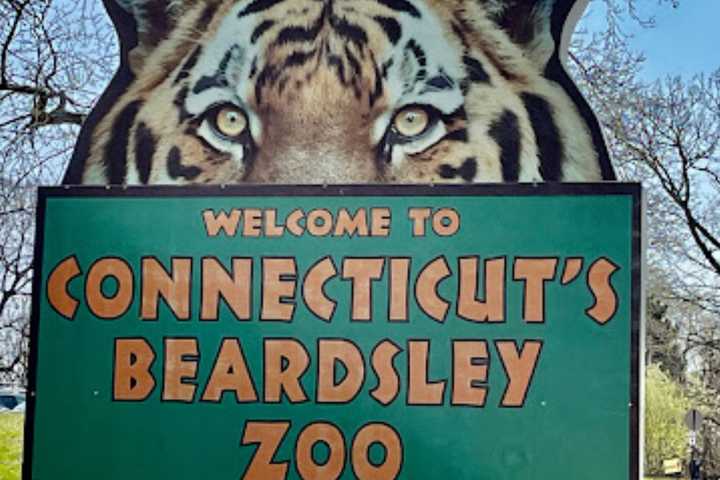 CT's Beardsley Zoo Confirms Avian Flu Case, Euthanizes Birds to Prevent Spread