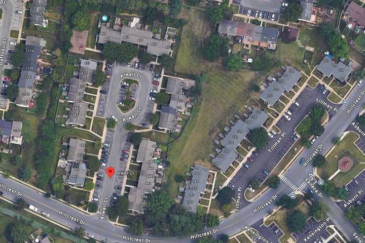 Dead Dog Found In Grassy Common Behind Maryland Homes: Police