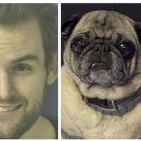 Pug Brutally Killed By Ex-Boyfriend In Shocking PA Revenge Plot: Affidavit