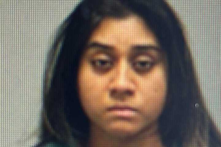 Woman Punched Dog 36 Times On Security Camera In CT Parking Lot: Police