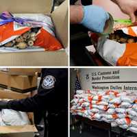 257 Pounds Of Illegal Opium Poppy Pods Seized At Dulles Airport: CBP