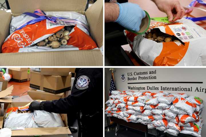 257 Pounds Of Illegal Opium Poppy Pods Seized At Dulles Airport: CBP