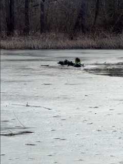 Hero Hazlet Officer Rescues Dog From Icy Lake (VIDEO)