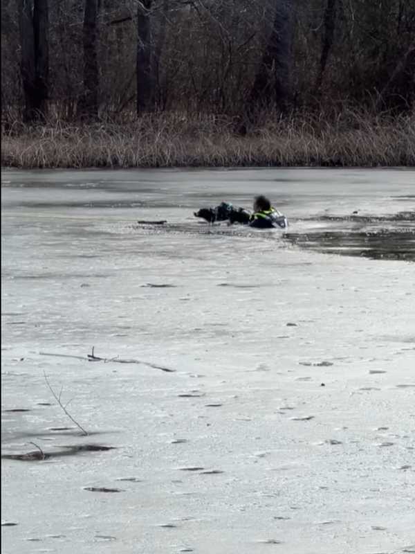 Hero Hazlet Officer Rescues Dog From Icy Lake (VIDEO)