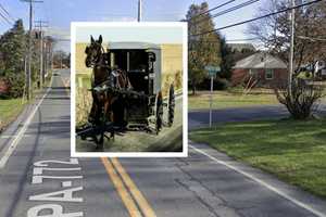 Horse And Buggy Flips In Lititz Crash, Driver Suspected Of DUI: Police